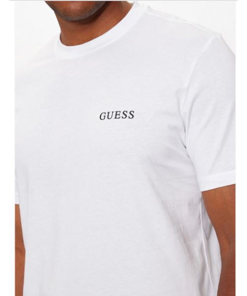 tsguessblanc2